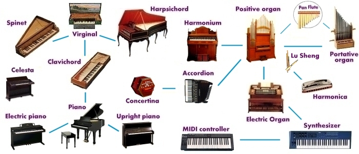 Musical Instruments Evolution