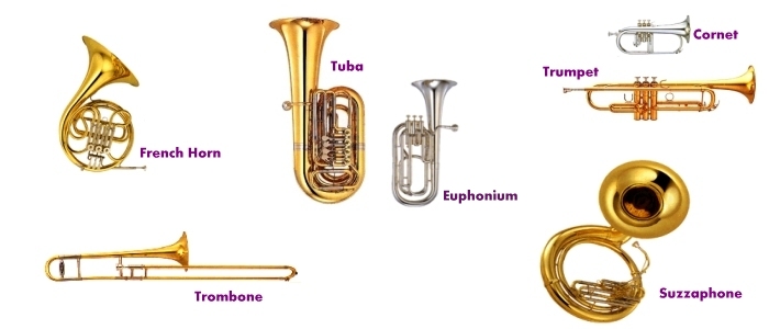 the brass instruments